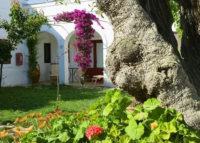 호텔 Masseria Torre Coccaro 5*